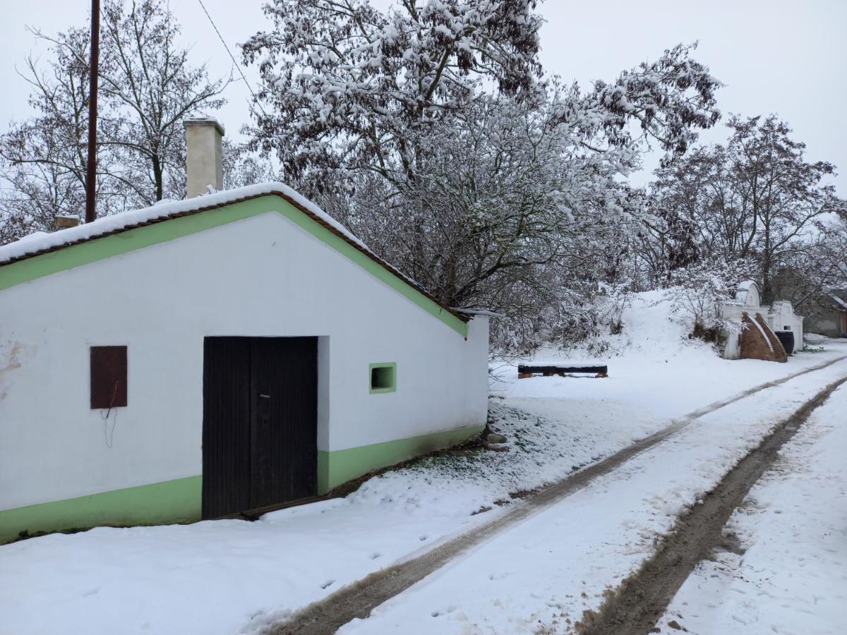 Alegria * Mikulov